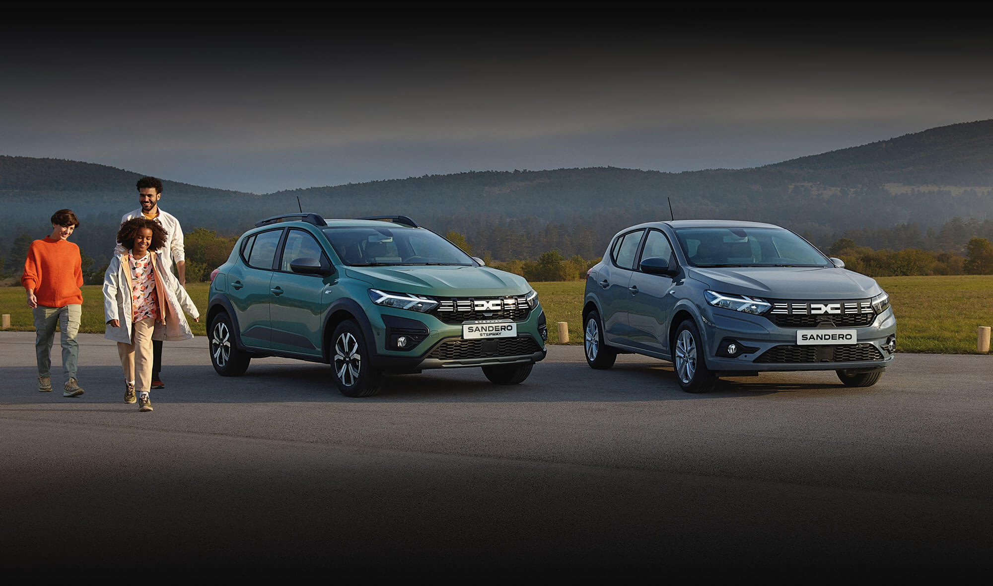 THE BEGINNER S GUIDE TO DACIA visual data 5