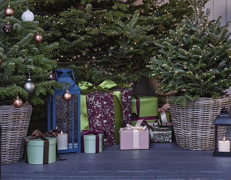 Why Dobbies is the home of all things for Christmas | Dobbies