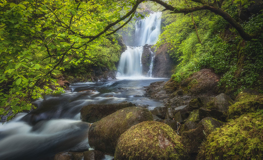 Uig Wood, Portree, Isle of Skye