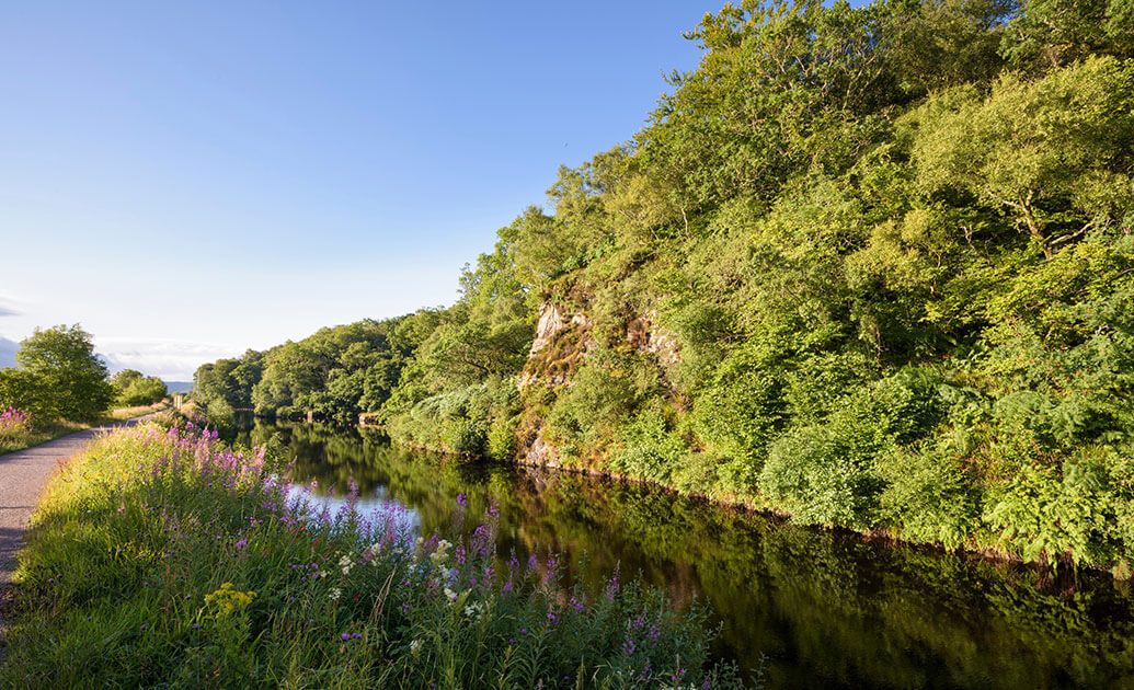 Crinan Wood, Crinan, Argyll and Bute